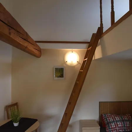 Pension Hejnice Guest house