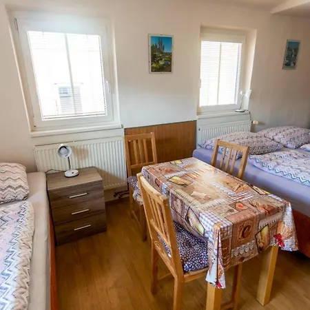 Pension Hejnice Guest house *