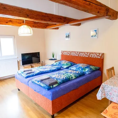 Pension Hejnice Guest house *