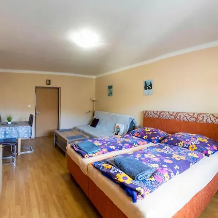 Pension Hejnice Hejnice