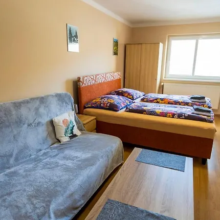 Pension Hejnice 3* הייניצה